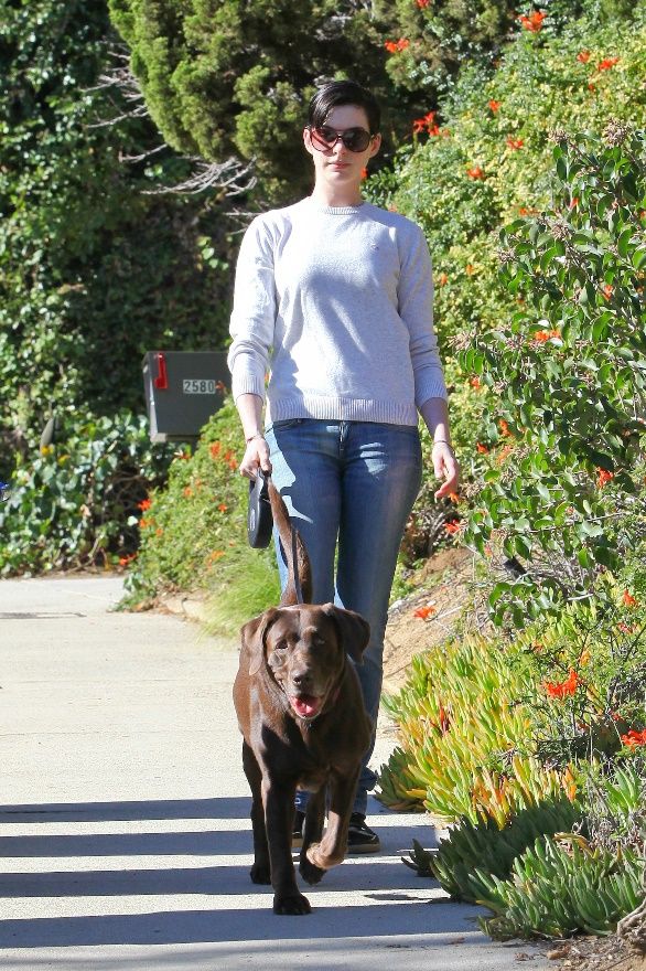 Anne’s Christmas gift