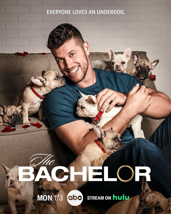 Dear The Bachelor, I’m Bored.
