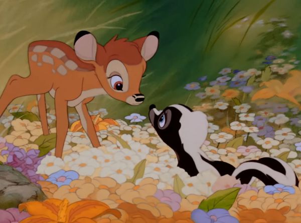Watch Bambi’s mom die for real