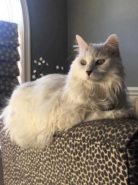 May 17, 2019 – Smutty Shout-Outs