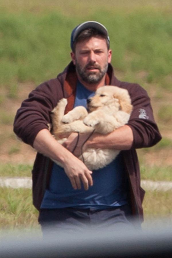 Ben brings the puppy