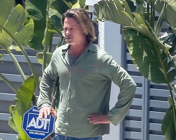 Brad Pitt’s lockdown shag