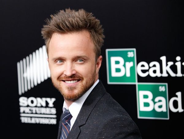 Aaron Paul: I love all the Bitches