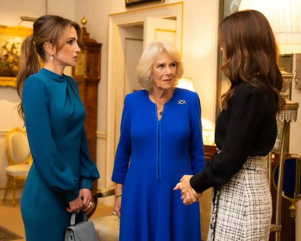 Camilla: The Consort and her Companions