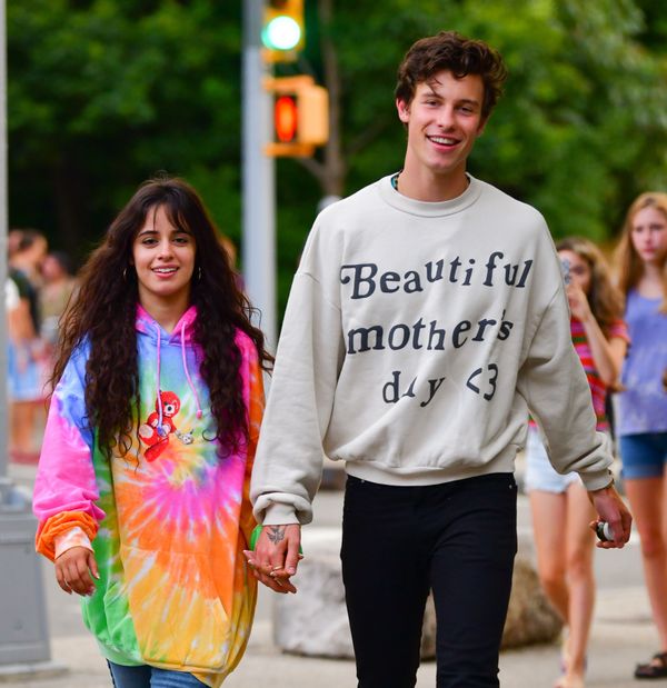 Shawn & Camila: the error and the conspiracy