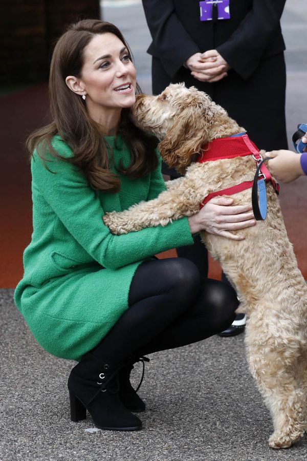 Princess Kate and Herbie the school dog
