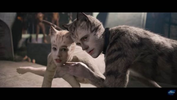 Seriously, though, Cats????