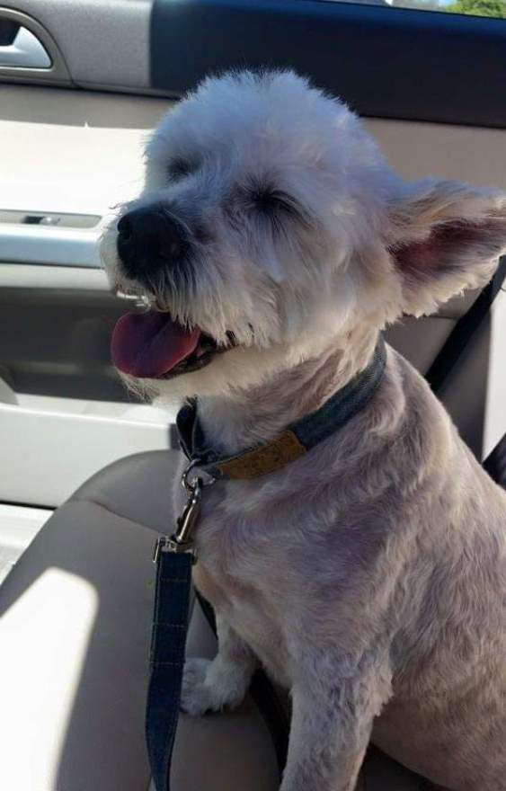 September 20, 2019 – Smutty Shout-Outs