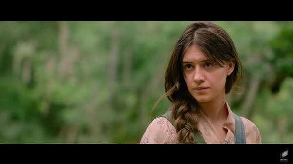 Where the Crawdads Sing is fancy Fancy