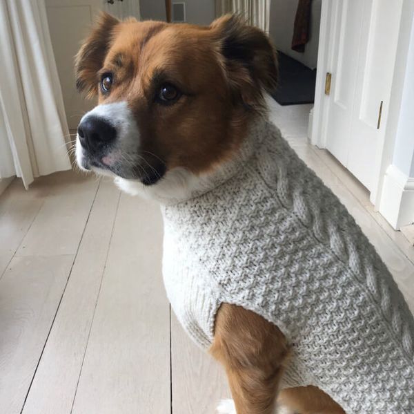 Celebrity Social Media, December 27, 2019