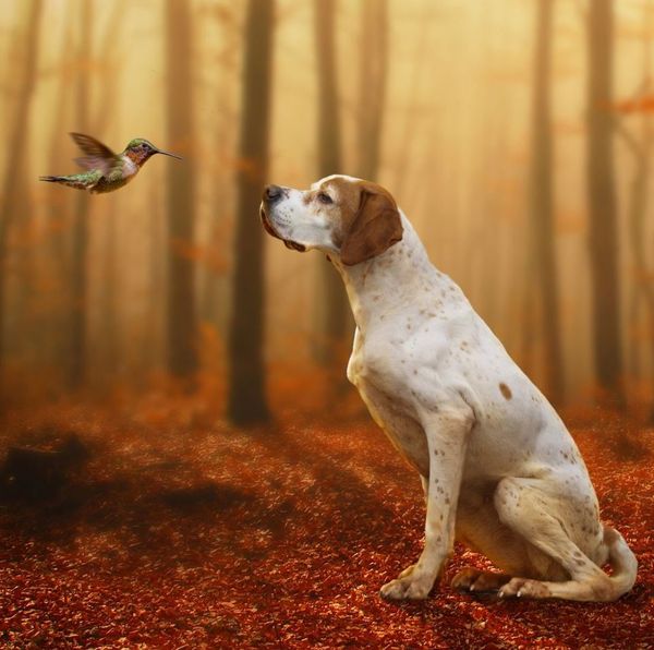 February 18, 2021 - Smutty Shout-Outs