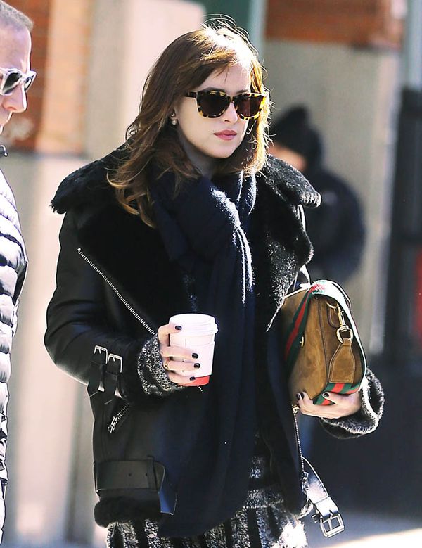 Dakota Johnson & Leonardo DiCaprio?