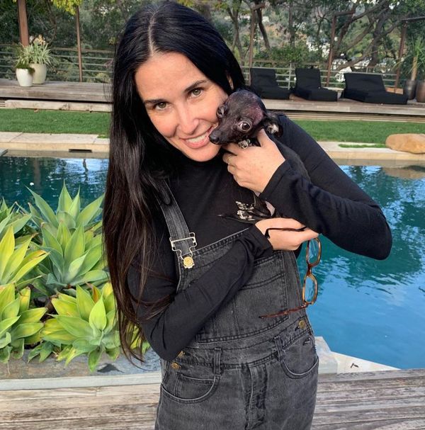 Celebrity Social Media, April 17, 2019