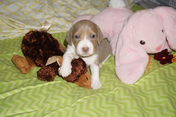 Duana Names: Who Else Am I Mad About?