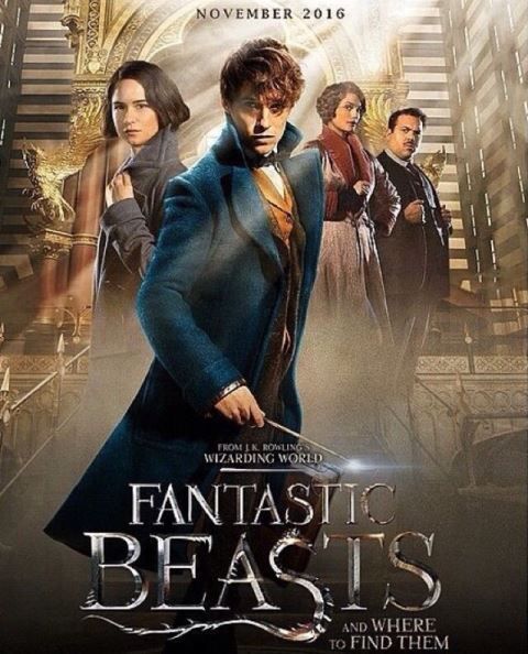 Fantastic Beasts and Where to Find Them: let the beasts be free