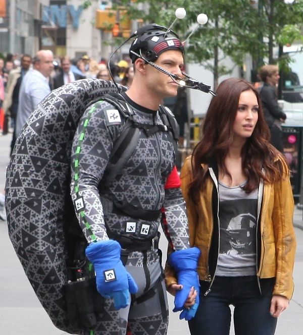 From Transformers to Turtles