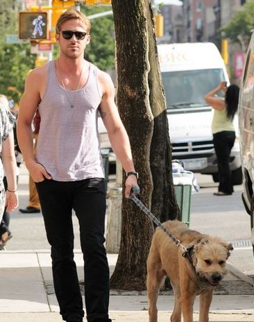Ryan Gosling on pet personalities