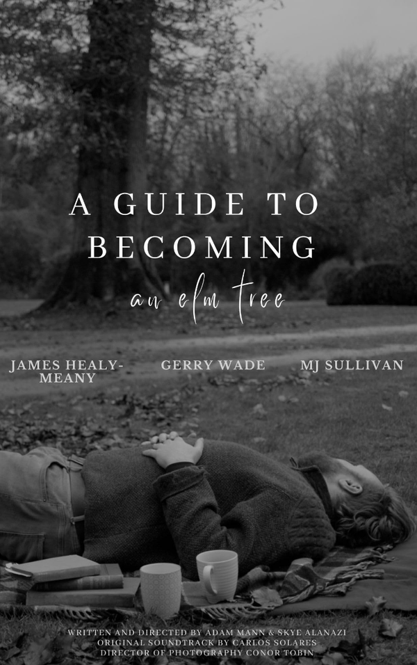 Fantastic Fest Review: A Guide to Becoming an Elm Tree