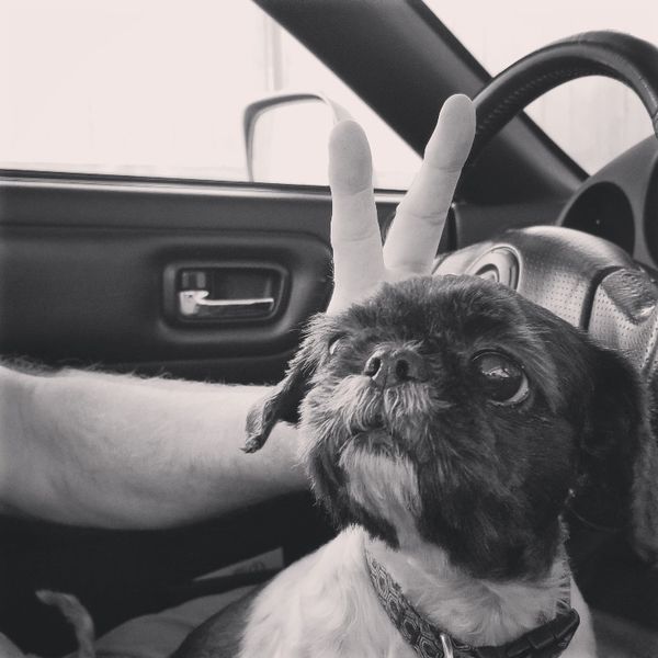 January 24, 2020 – Smutty Shout-Outs