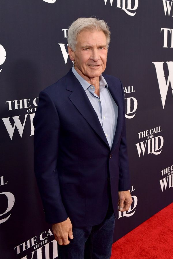 Harrison Ford in The Call of the Wild