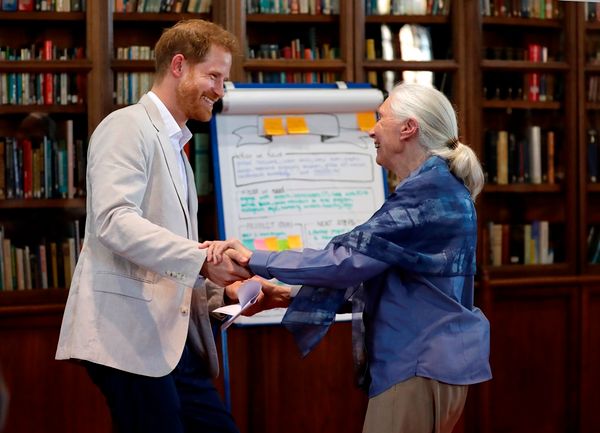 Prince Harry and “unconscious bias”