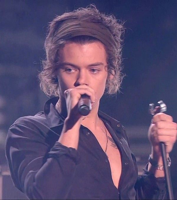 Harry’s headband and earrings