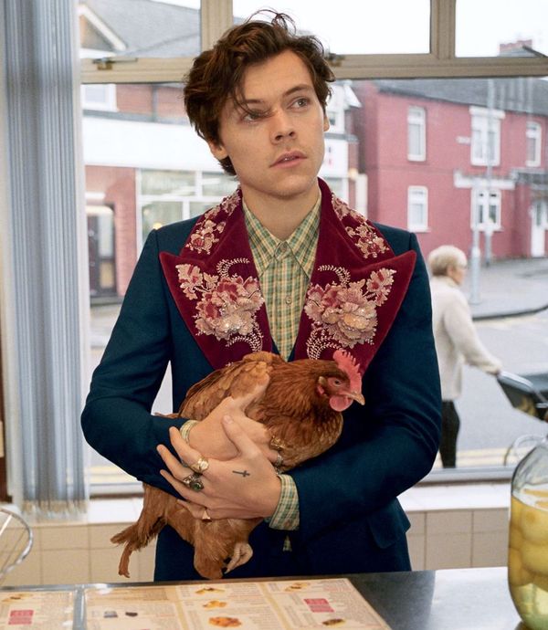Harry Styles for Gucci