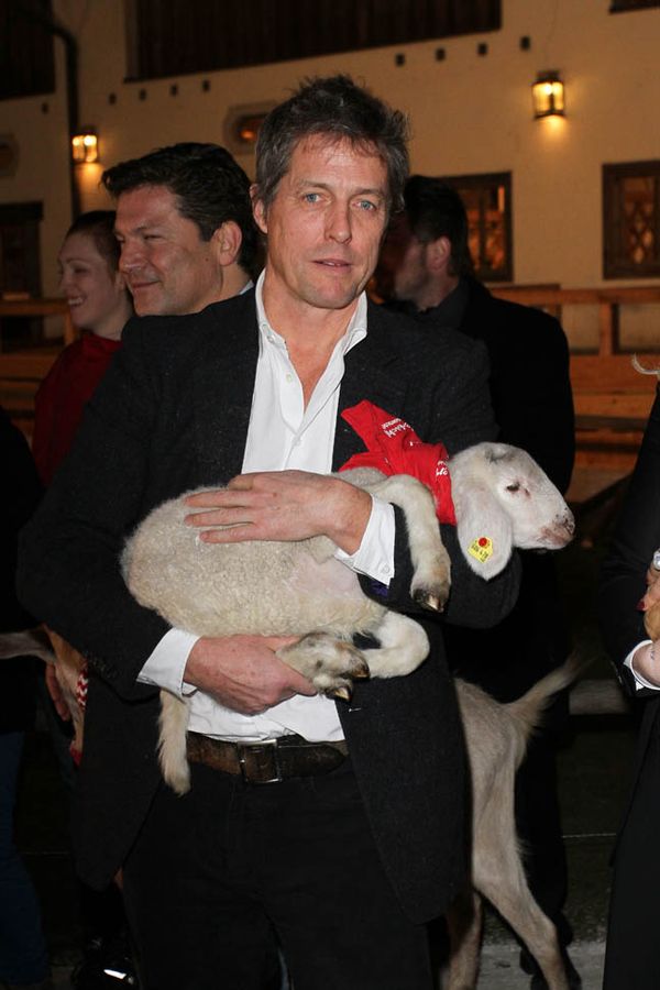 Hugh Grant, a goat, and Meryl