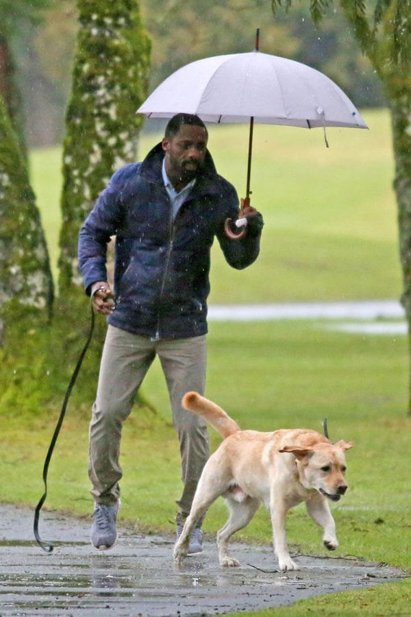 Idris and a dog