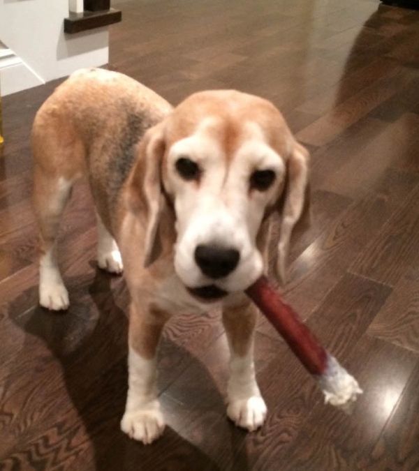 Intro for September 18, 2015