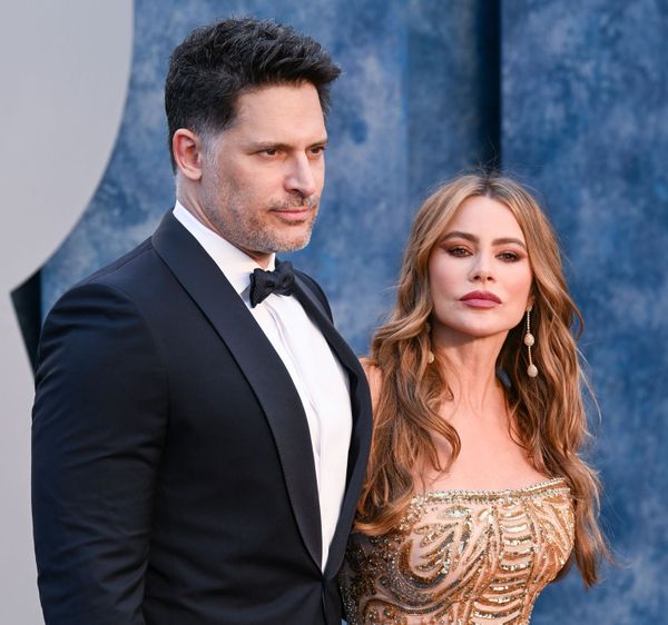 Joe and Sofia's civil divorce (so far)