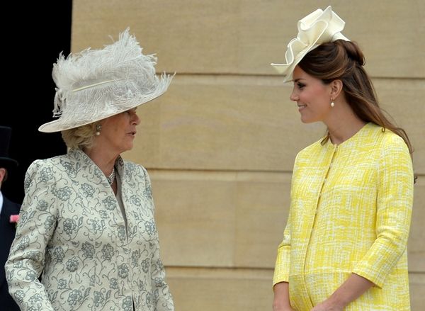 Katy Cambridge blooms in yellow