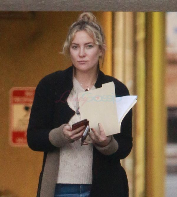 Kate Hudson & Chris Robinson’s custody re-evaluation