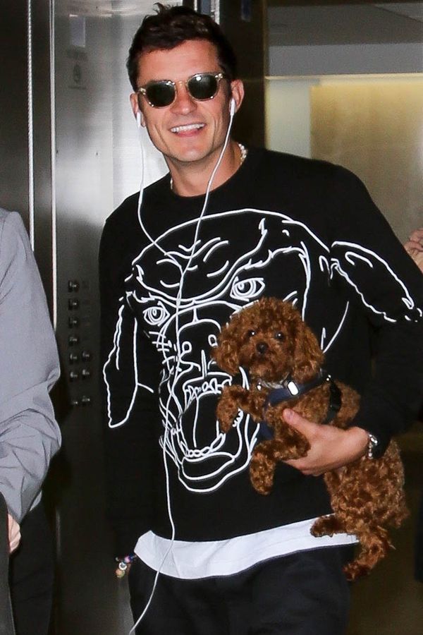 Katy, Orly, and Butters