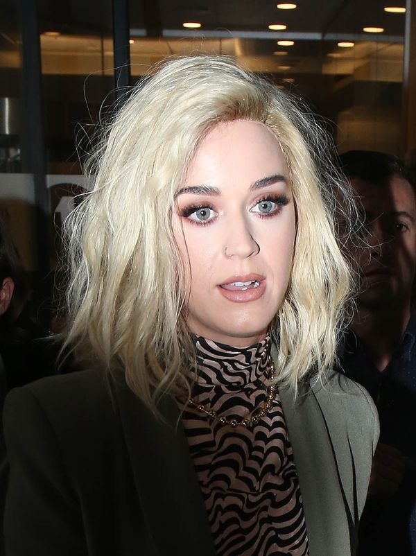 Katy Perry’s purpose