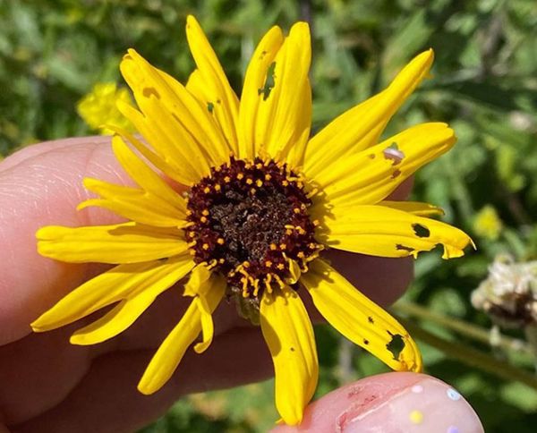 Celebrity Social Media, May 12, 2020