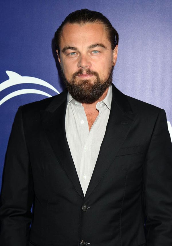 This is Leo cleaned up