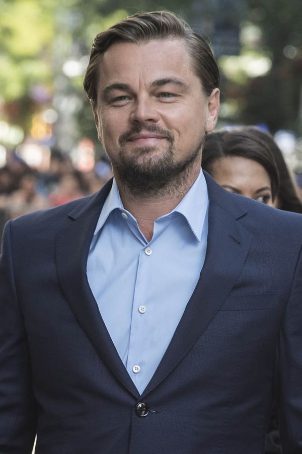 Leo’s holiday model