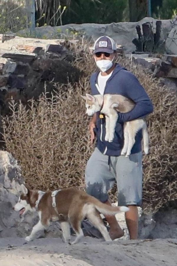 Leonardo DiCaprio and the New Mask Life