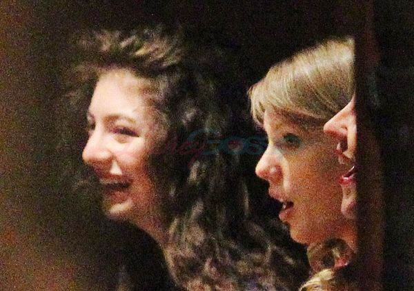 Taylor’s new friend