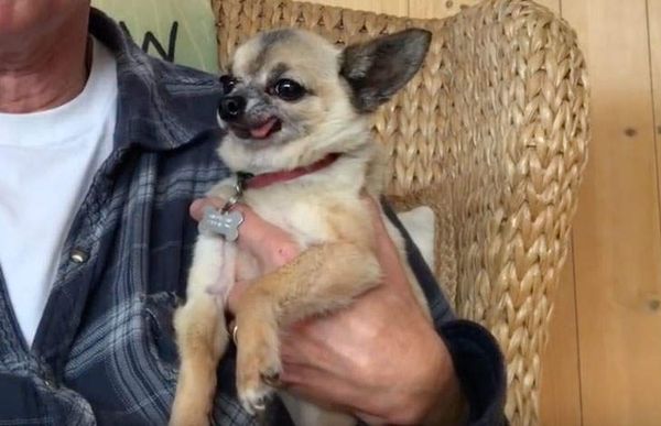 What Else for March 3, 2020