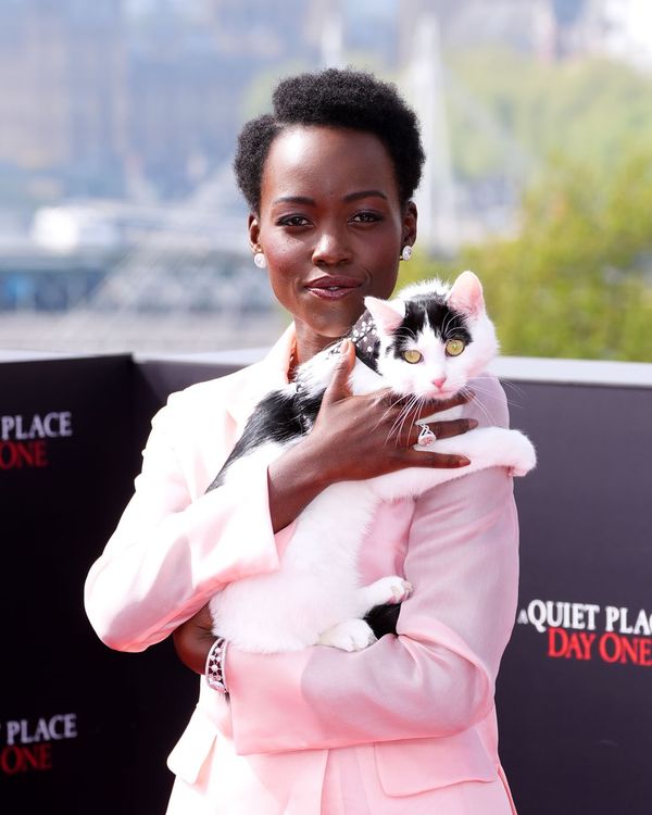 Lupita’s Turn… with a cat