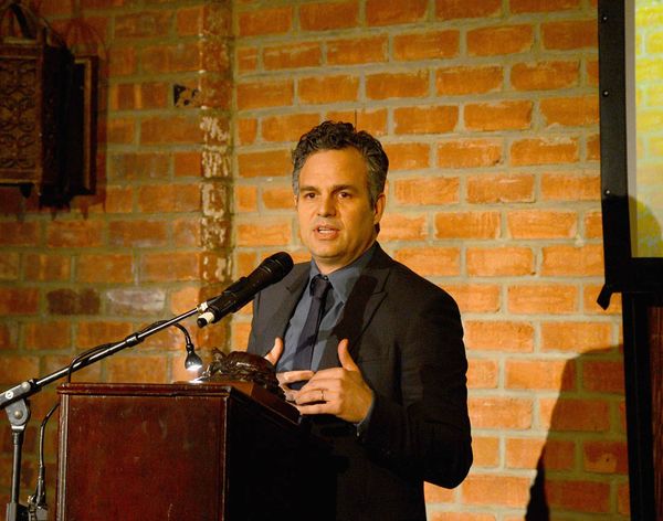 Mark Ruffalo is a turtle