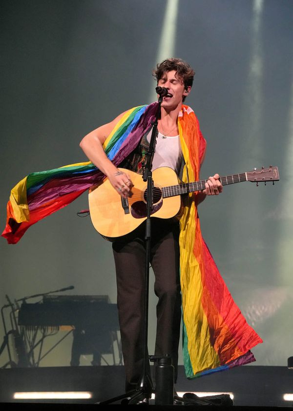 Shawn Mendes is the latest (tour) cancellation