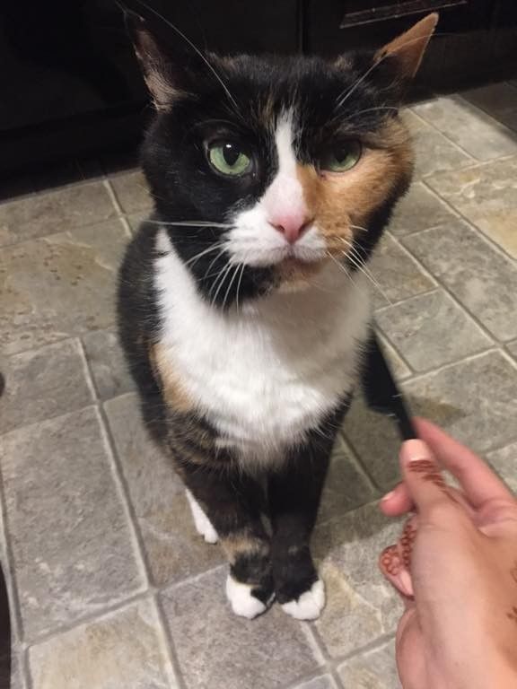 November 20, 2019 – Smutty Shout-Outs