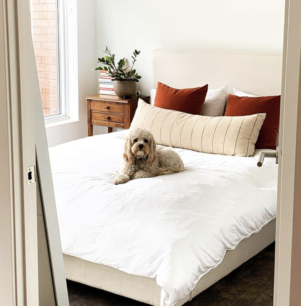 November 3, 2022 – Shout-Outs