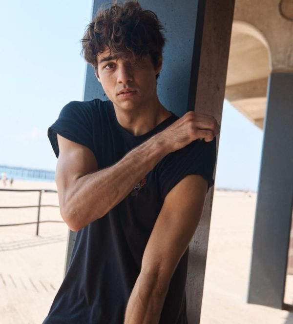 “Thirst architect” Noah Centineo
