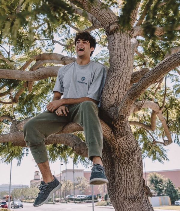 Peter Noah in a tree