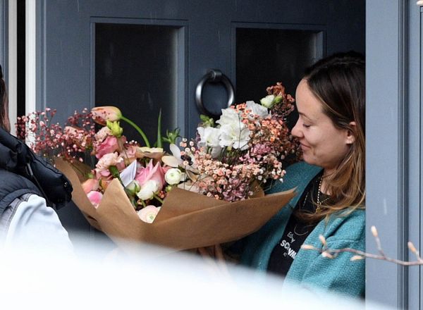 Harry, Olivia, and Jason: No More Drama