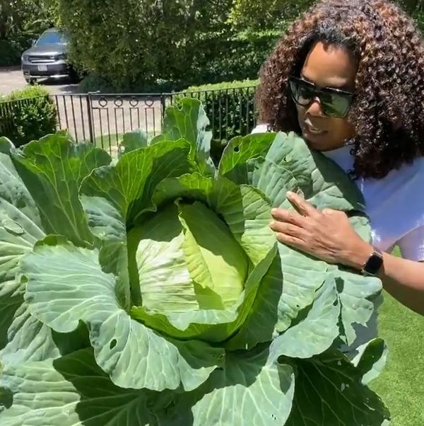 Celebrity Social Media, May 22, 2020